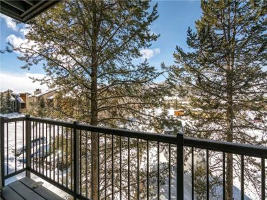 Steamboat Springs Home 927638
