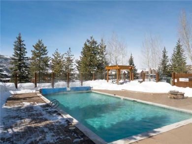Steamboat Springs Home 927638