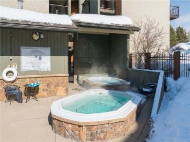 Steamboat Springs Home 927638