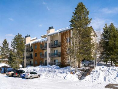 Steamboat Springs Home 927638