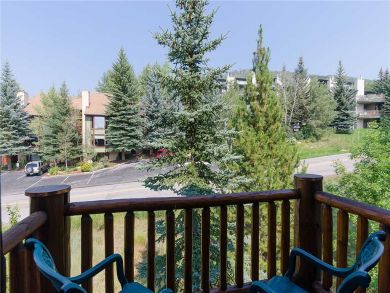Steamboat Springs Home 927643