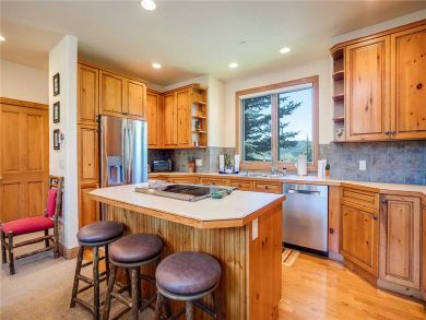 Steamboat Springs Home 927644