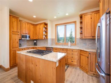 Steamboat Springs Home 927646