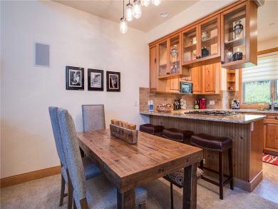 Steamboat Springs Home 927647