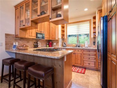 Steamboat Springs Home 927647