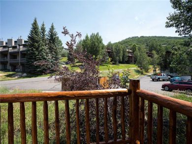 Steamboat Springs Home 927647