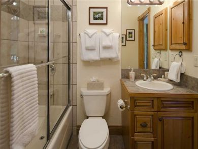 Steamboat Springs Home 927648