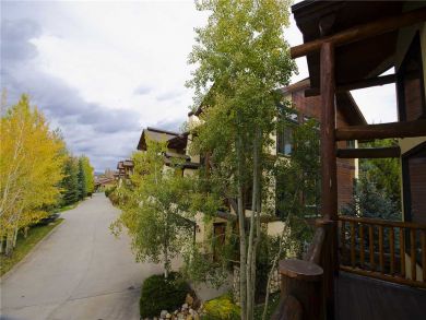 Steamboat Springs Home 927648