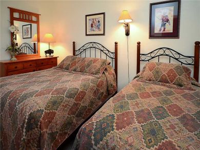 Steamboat Springs Home 927650