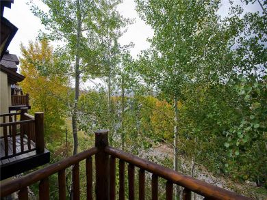 Steamboat Springs Home 927650