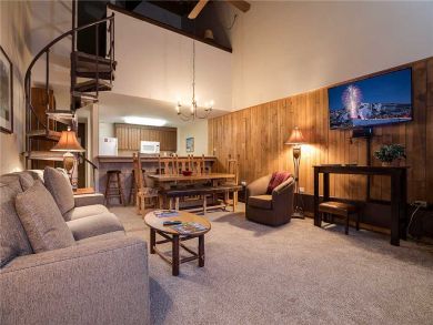 Steamboat Springs Home 927653