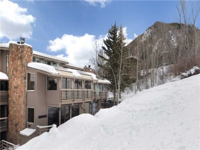 Aspen Condo 927659