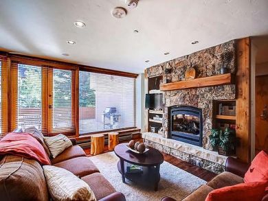 Luxury Vail Condominium Sleeps 4 Guests Walk to Ski Lifts - additional view, photo 3