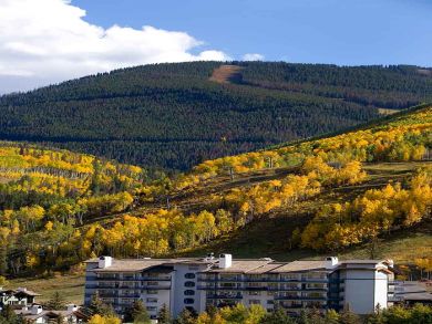 Vail Lionshead Condo 927709