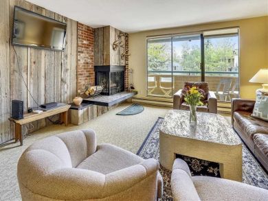 Aspen Condo 927718