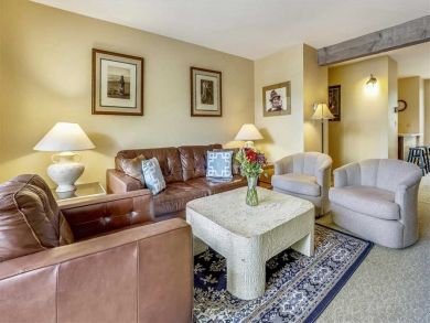 Aspen Condo 927718