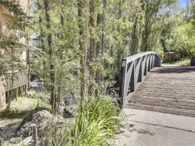 Aspen Condo 927718
