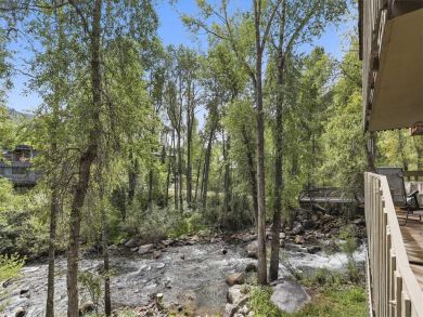 Aspen Condo 927718