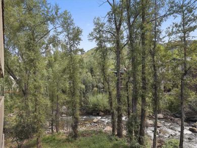 Aspen Condo 927718