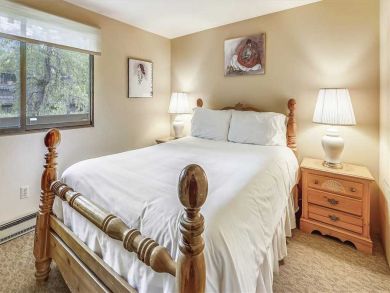 Aspen Condo 927718