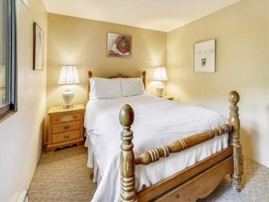 Aspen Condo 927718