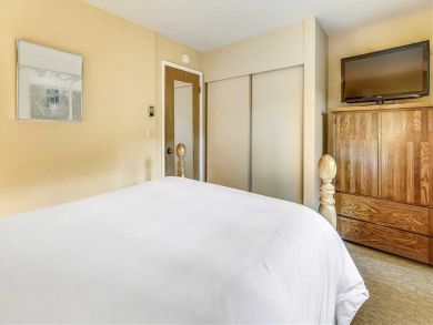 Aspen Condo 927718