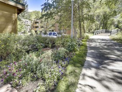 Aspen Condo 927718