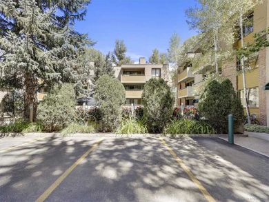 Aspen Condo 927718