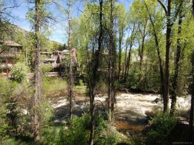 Aspen Condo 927718