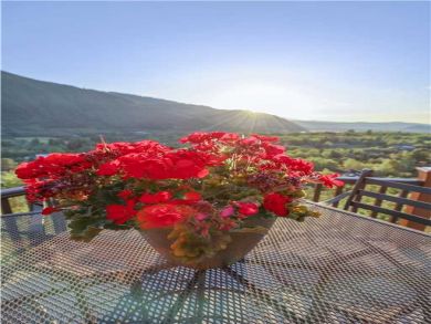 Aspen Condo 927723