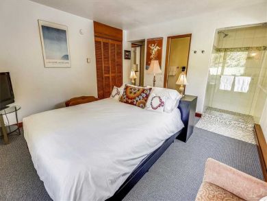 Aspen Condo 927725