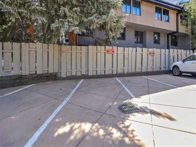 Aspen Condo 927725