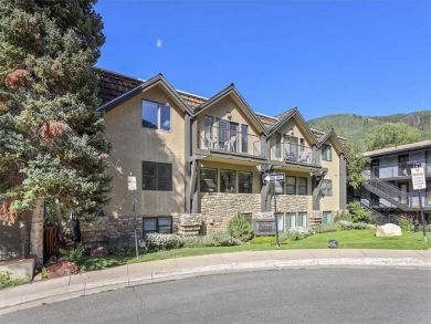 Aspen Condo 927725