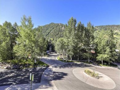 Aspen Condo 927725