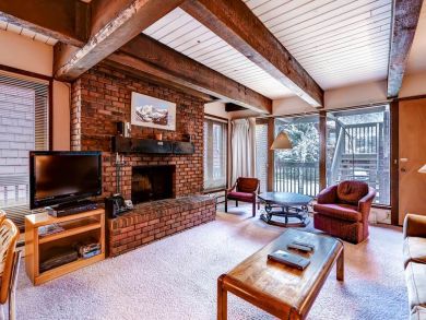 Aspen Condo 927726