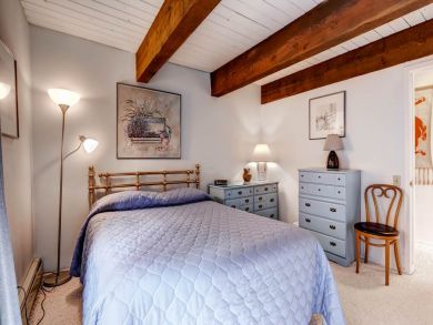 Aspen Condo 927726