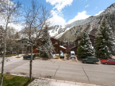 Aspen Condo 927726