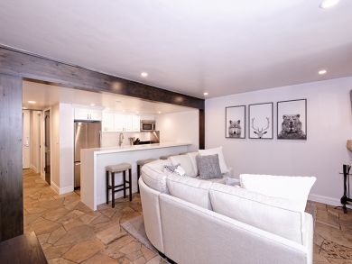 Aspen Condo 927729 Aspen Condo 927729
