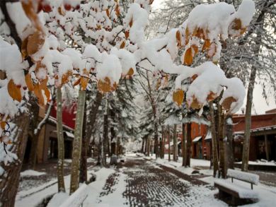 Aspen Condo 927733