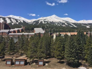 Breckenridge Condo 927743