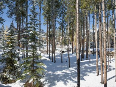 Breckenridge Home 927746 Breckenridge Home 927746