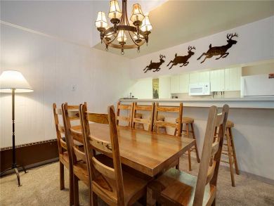 Steamboat Springs Home 927751