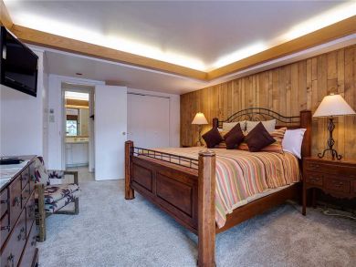 Steamboat Springs Home 927751