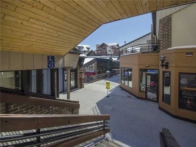 Steamboat Springs Home 927751