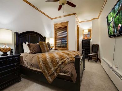 Steamboat Springs Home 927779