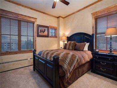 Steamboat Springs Home 927781