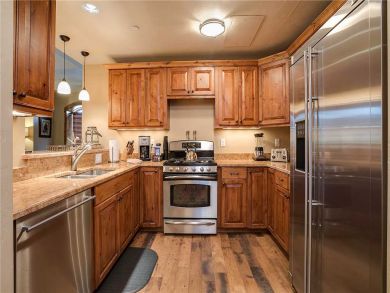 Steamboat Springs Home 927786