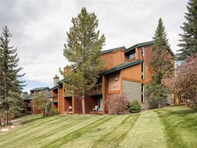 Steamboat Springs Home 927804