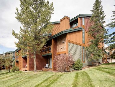 Steamboat Springs Home 927804