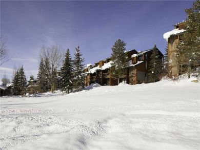 Steamboat Springs Home 927804